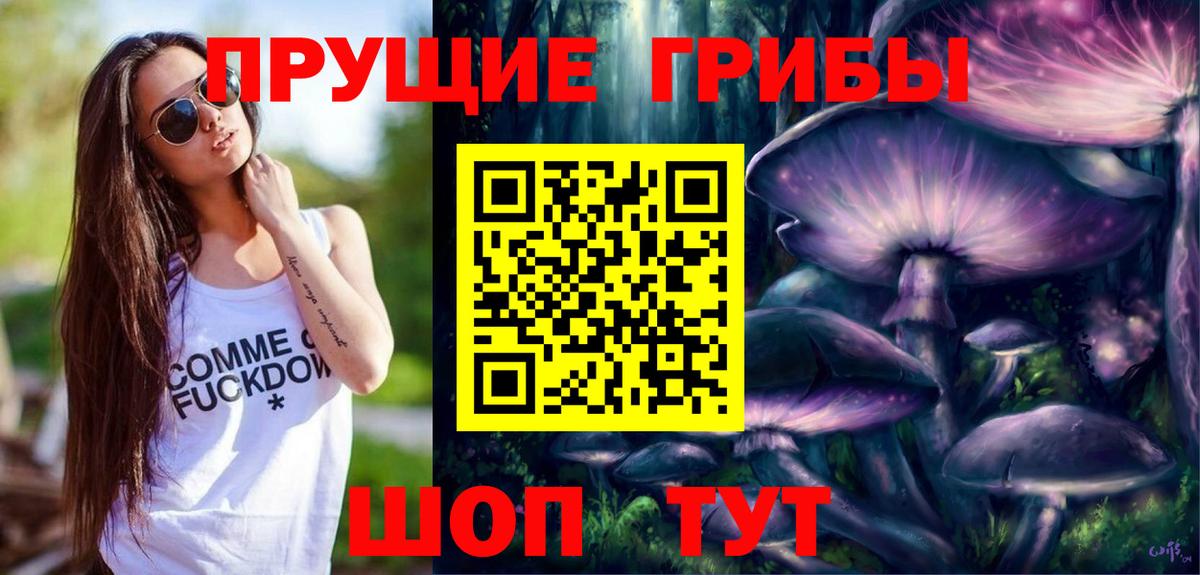 Псилоцибиновые грибы прущие грибы  Вход с VPN  Алексеевка 